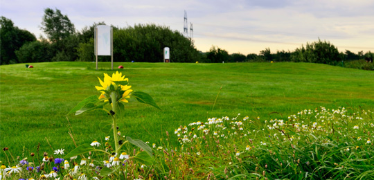 Golfclub Wilhelmshaven-Friesland e.V.